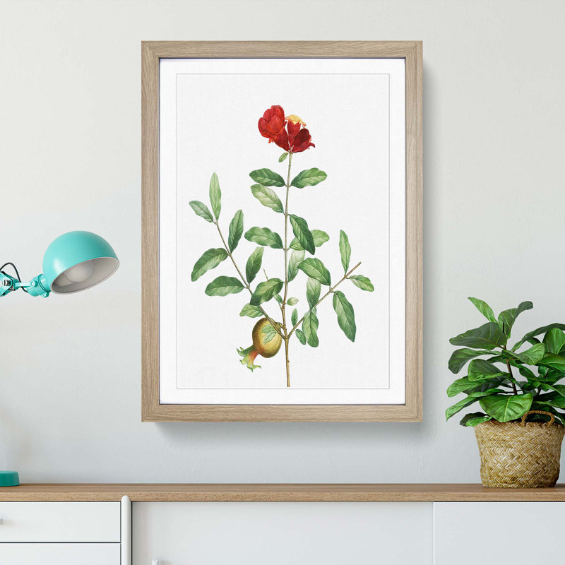 Pomegranate Tree Branch by Pierre-Joseph Redoute - Picture Frame Painting Print, 48cm H x 36cm W x 2cm D, Oak Framed