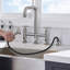 Landolt Kitchen Sink Faucet with Side Spray-77400711