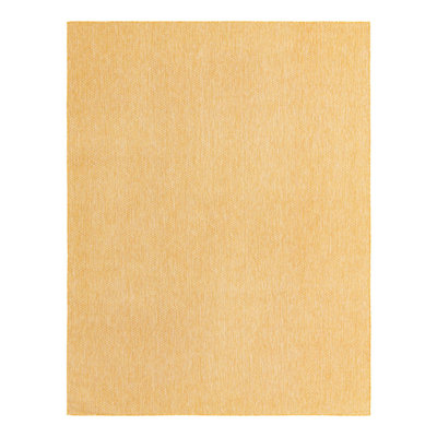 Indoor / Outdoor Rug