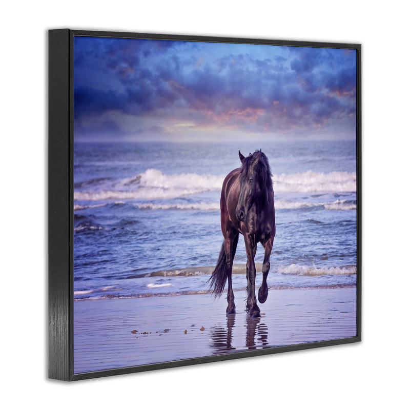 «Wild Horse on Beach Colorful Blue Sunset» par PHBurchett - reproduction de photo, Giclée encadrée noir minuit