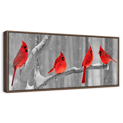 Cardinal Birds