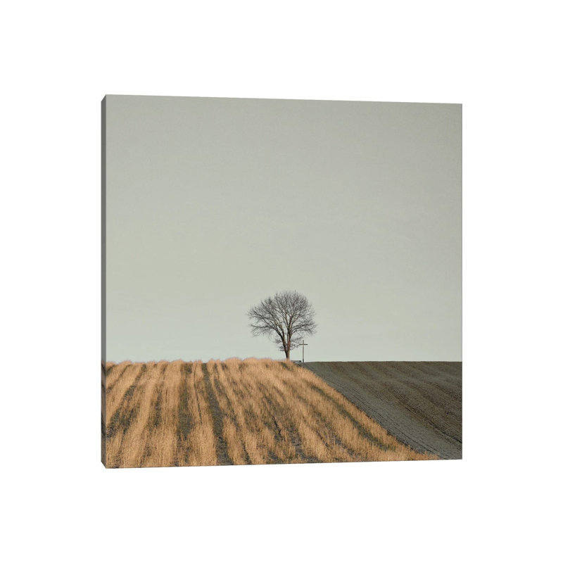 1 Piece Wall Art on Canvas, 66.04 cm H x 66.04 cm W x 3.175 cm D, Wrapped Canvas