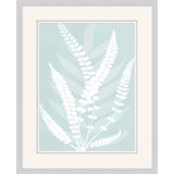 Delicate Fern Assimilation 3 Print
