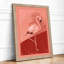 Flamingo in Profile Minimalist - Framed Print-1782903644-1782903645