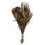 Banksia Arrangement