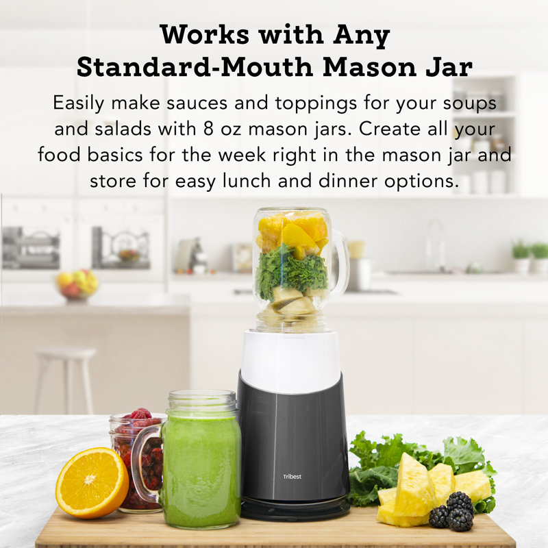 Tribest Personal Blender, Grey