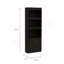 Shell Beach 1-Drawer 3-Shelf Bookcase Wengue