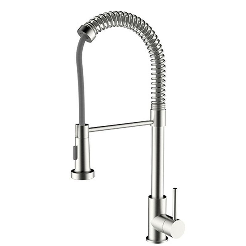 Robinet de cuisine à poignée simple avec jet latéral