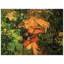 Vincent Van Gogh - Wrapped Canvas Painting-21213176