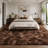 8x10 Ft Tie-Dyed Coffee Extra Large Shag Rugs for Living Room, Tie Dyed Soft Fluffy Furry Area Rugs for Bedroom Indoor Floor, Aesthetic Carpet for Kids Home Decor-1164655166-1158648133