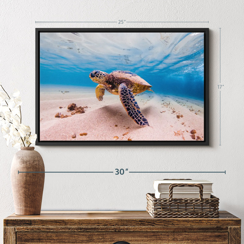 Sandy Turtle Canvas Print, 17" H x 25" W