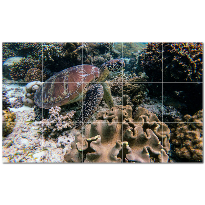 Turtle Photo 12'' x 12'' Satin Ceramic Decorative Mural