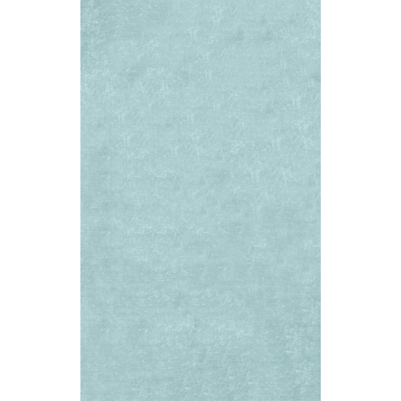Estaleen Solid Colour Area Rug, Rectangle 200 x 290cm
