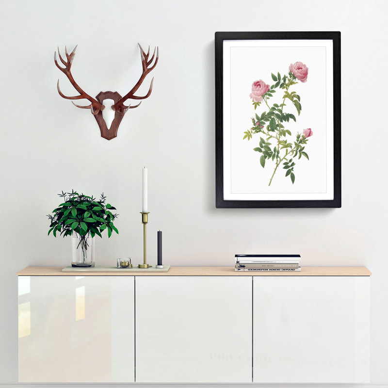 English Roses in Pink by Pierre-Joseph Redoute - Picture Frame Painting Print, 65cm H x 48cm W x 2cm D, Black Framed