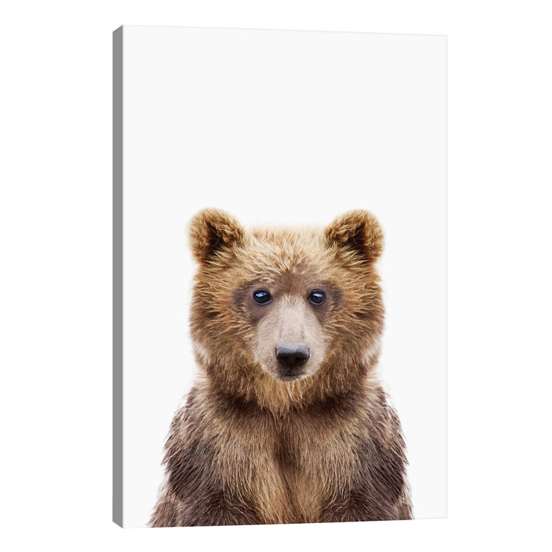 Baby Bear - Wrapped Canvas Print, 101.6 cm H x 66.04 cm W x 3.175 cm D