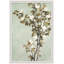 Blossoms In Mint 1 Print by Studio L57 Affinity-119956354