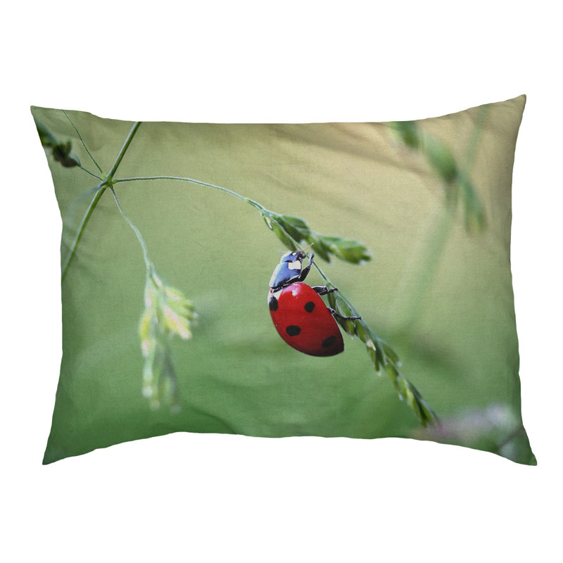Coussin stylisé coccinelle Burnes, Marron foncé, L 19,5 po x l 29,5 po