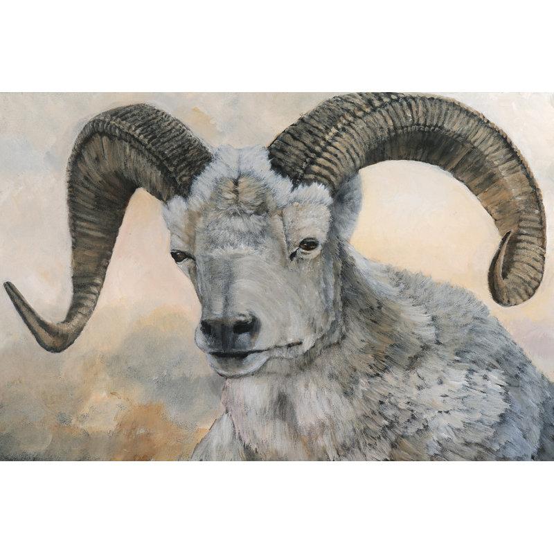 The Horns Have It II - Wrapped Canvas Art Prints, 30cm H x 46cm W
