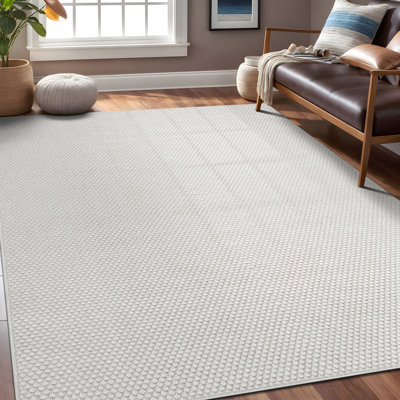 Indoor Outdoor Area Rug
