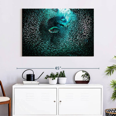 Underwater fish tunnel Aletra