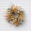 Couronne de soie-393259826