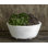 Geo Planter