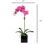 Orchid Arrangement In Vase-1326828204-1326828205