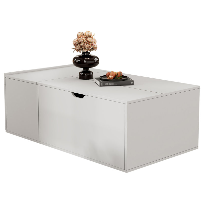 Lift Top Coffee Table with Storage