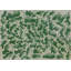 Papier peint botanique - Labyrinthe vert-485891370
