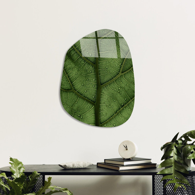 Boze Wall Decor