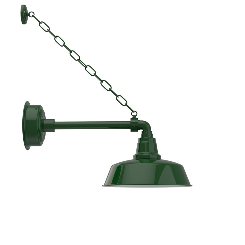 Luminaire de grange d'extérieur à DEL Vandervliet, H 13 po x l 12 po x P 23 po, Vert rétro
