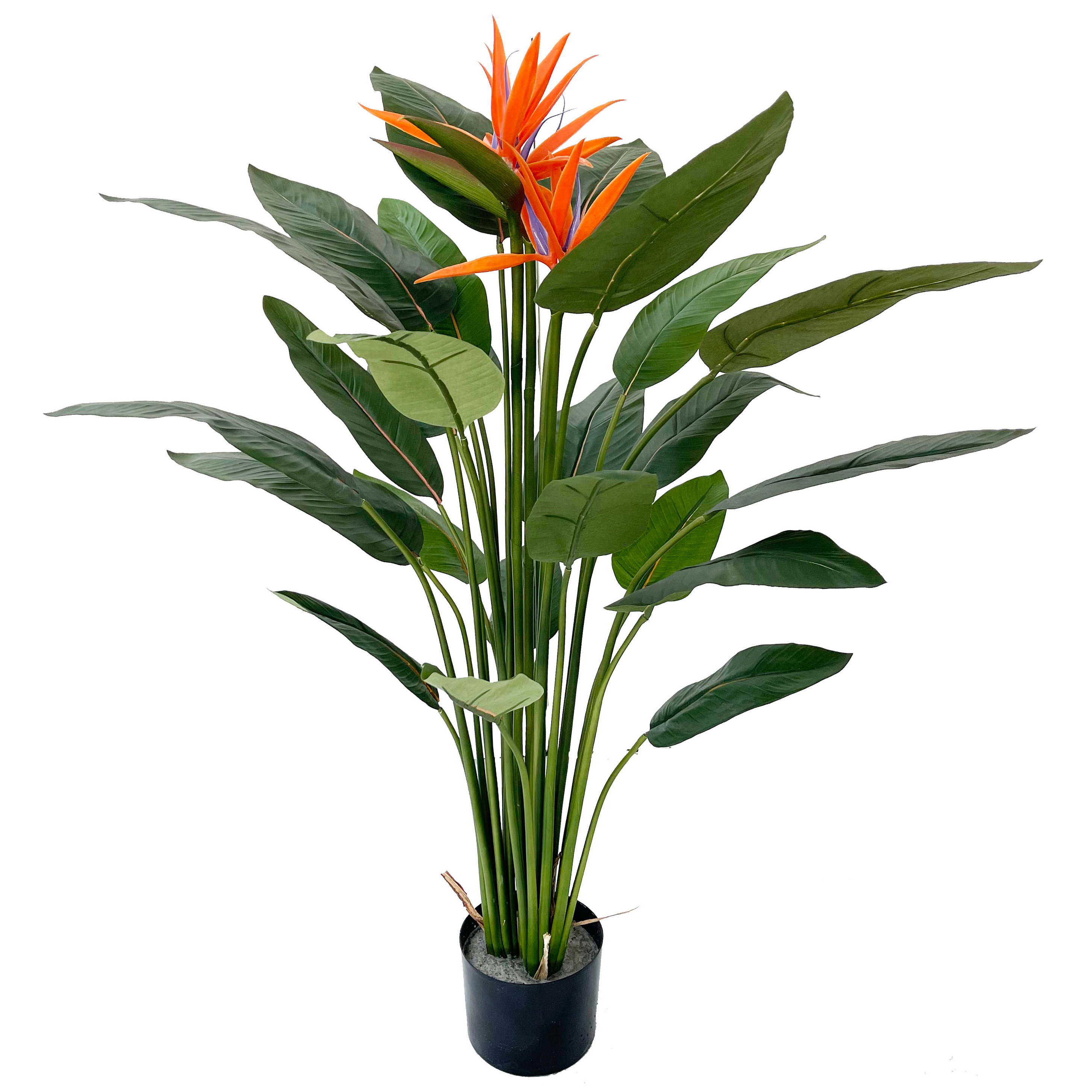 Primrue 50'' Faux Bird Of Paradise Plant in Pot & Reviews | Wayfair