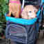 Photos des clients 1 de 1