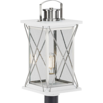 Alexe Seeded Lantern Head