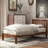 Magna Platform Bed-830232426-887209472