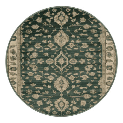 Machine Washable Overdyed Green Area Rug