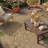 Oriental Medallion UV Resistant Woven Indoor / Outdoor Area Rug Tan-227928348-226571292