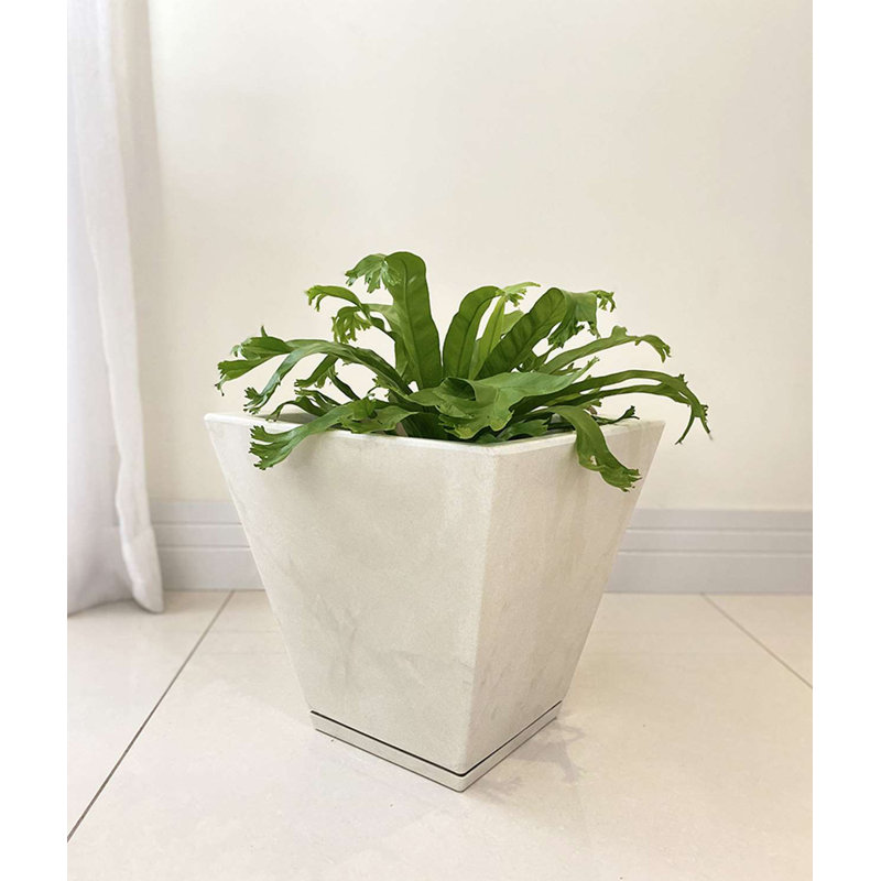Pot à fleurs en résine Zurique, H 13,39 po x l 13,78 po x 13,78 po, Blanc