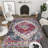 Teshawna Esmay Performance Blue/Red Medallion Rug-1956622845