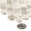 Pixie 3/4 in. Penny Glass Mosaic Wall Tile-50639079