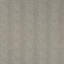 Terra Firma II Aiguille Fabric-885327469