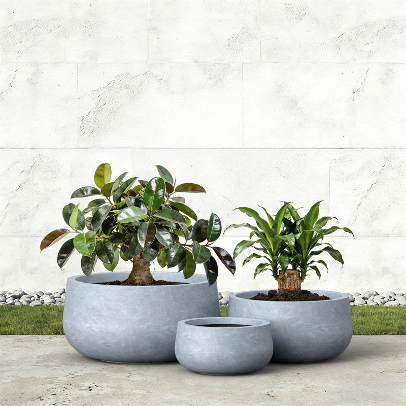 Ensemble de pots à fleurs en composite 3 pièces Lindlot, Coment