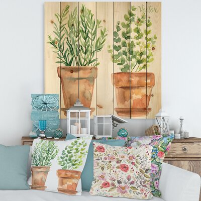 Two Green House Plants In Orange Flower Pots - Traditional Print On Natural Pine Wood -  East Urban Home, D68AC1E13D7F4812959022B428618F04