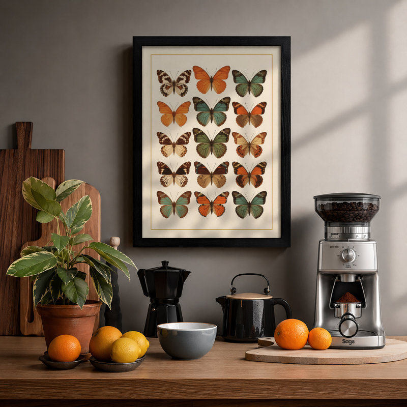 Butterfly Specimens Botanical - Framed Print, A1 - 84.1 x 59.4 cm, Black