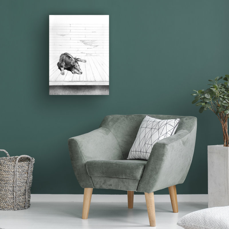 Œuvre sur toile «bolologic Darlene Pavlovich», H 19 po x l 14 po
