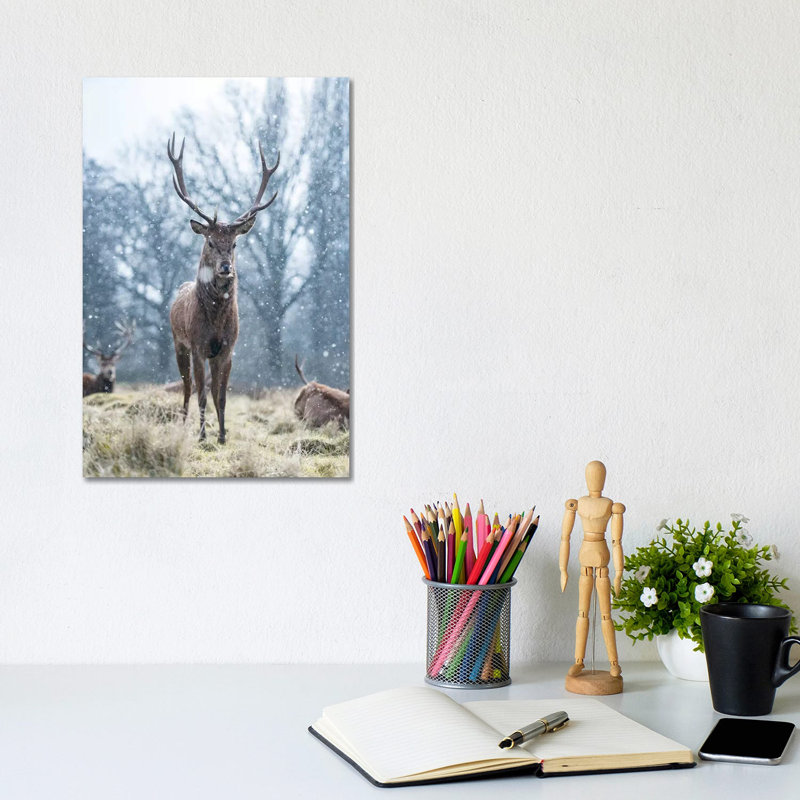 Snowflake Surprise by Max Ellis - Wrapped Canvas Print, 20.32 cm H x 30.48 cm W