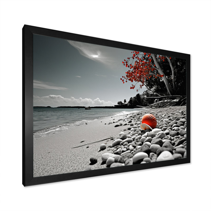 «Grey Red Beach Seashell Symphony», reproduction, Cadre simple noir, H 16 po x l 32 po x P 1 po
