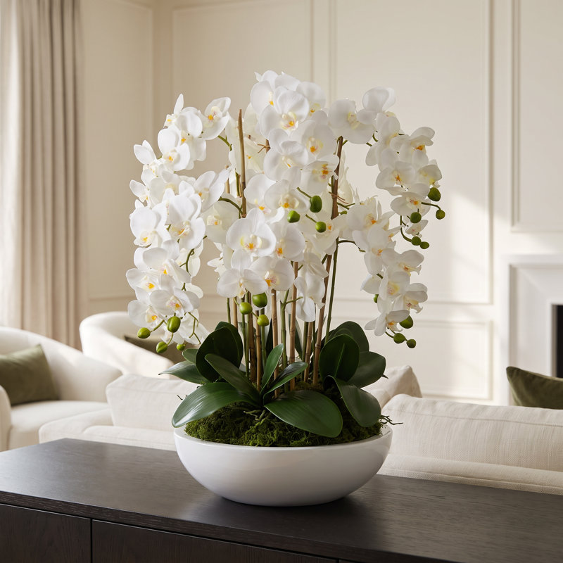 Orchid Arrangement in Round Fiberstone Pot, 31" H x 30" W x 30" D