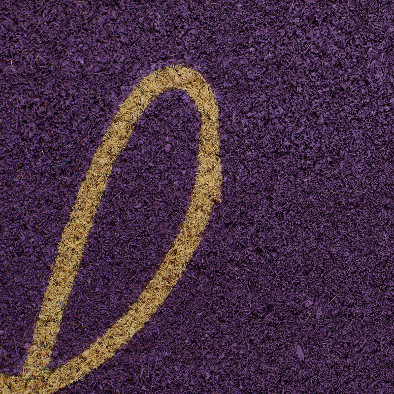 Jahki Non-Slip Doormat, Purple