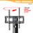 UD Single Screen Floor Stand Mount
